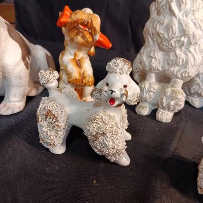 WHO LET THE DOGS OUT?