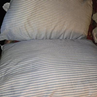 Pair of bed pillows.