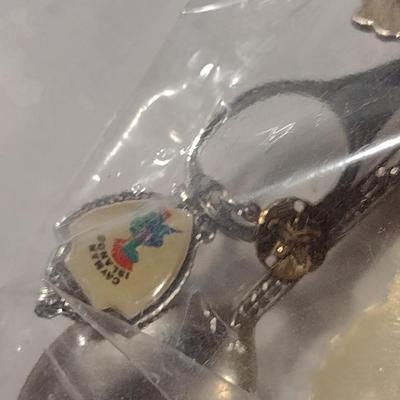 Collection of Souvenir Spoons with Wooden Display Rack