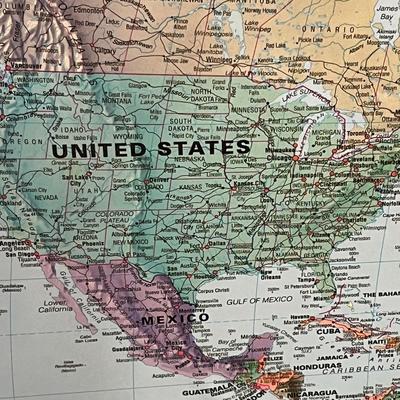 World Map With cardboard backing