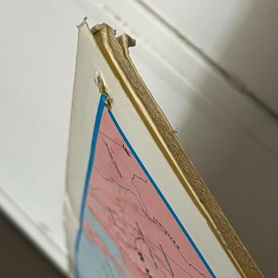 World Map With cardboard backing