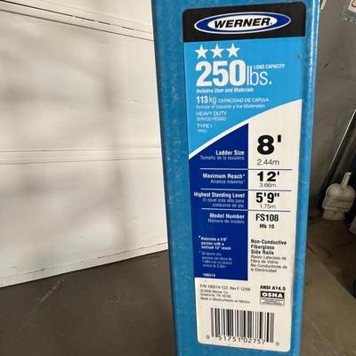 Werner FS100 8-ft Fiberglass Type 1 - 250 lbs Load Capacity Step ladder