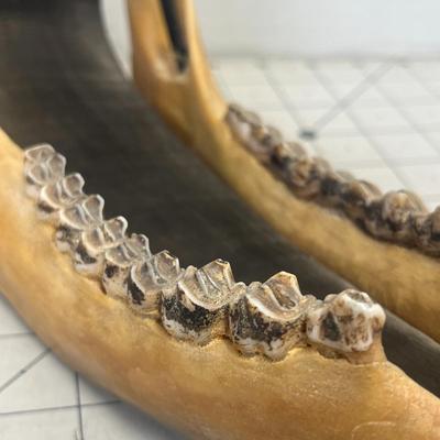 Vintage Native Alaskan Eskimo Caribou Jawbone & Whale Baleen Art Dog Sled