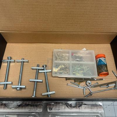 Bolt, Nut, and Screw Assortment Kits