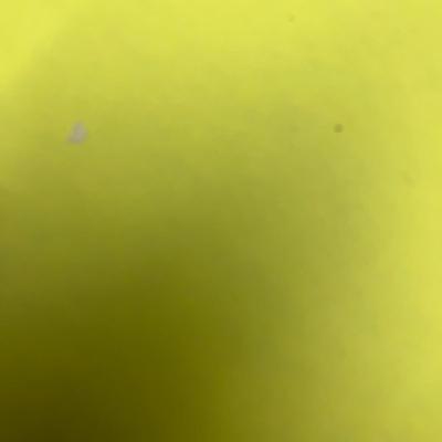 Ceramic Milk Can Yellow