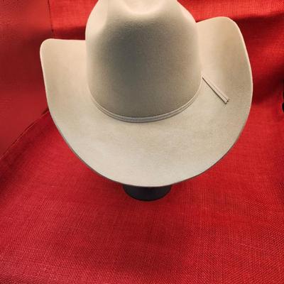 Silverbelly Stetson Hat