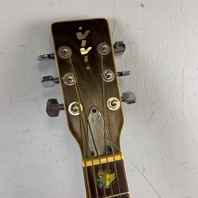 Vivi Acoustic Guitar V-100 