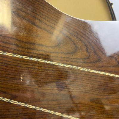 Vivi Acoustic Guitar V-100 