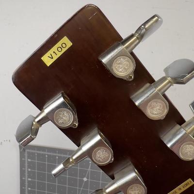 Vivi Acoustic Guitar V-100 