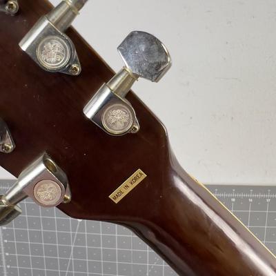 Vivi Acoustic Guitar V-100 