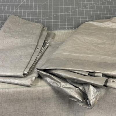 2 Silver Tarps