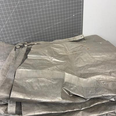 2 Silver Tarps