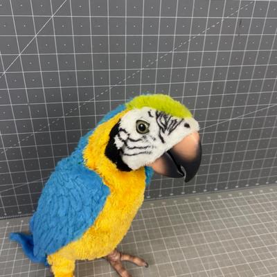 Battery Operated Parrot TALKS!