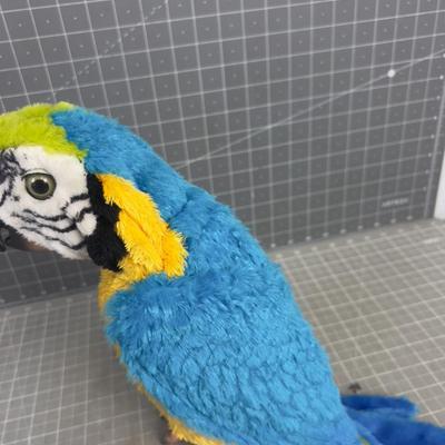 Battery Operated Parrot TALKS!