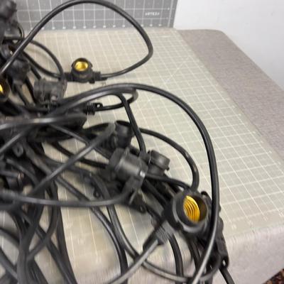Heavy Duty Light String, Unfortunately it needs a Plug.