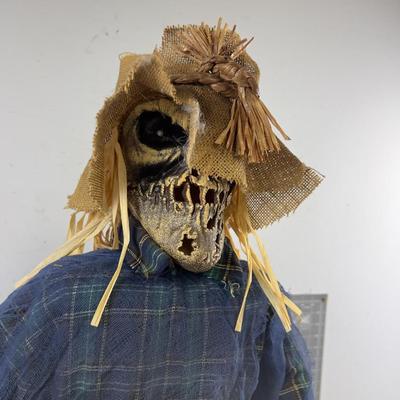 The Scarry Crow - Dances and Talks! 