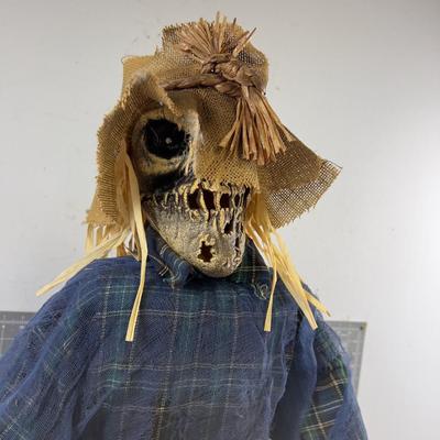 The Scarry Crow - Dances and Talks! 