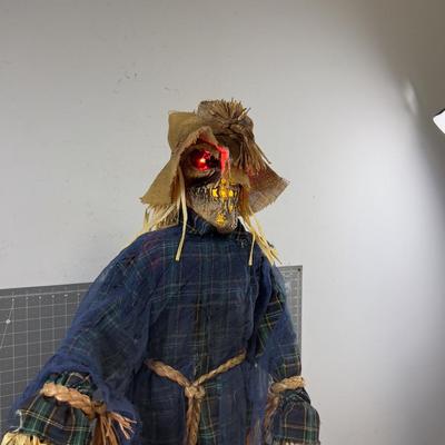 The Scarry Crow - Dances and Talks! 
