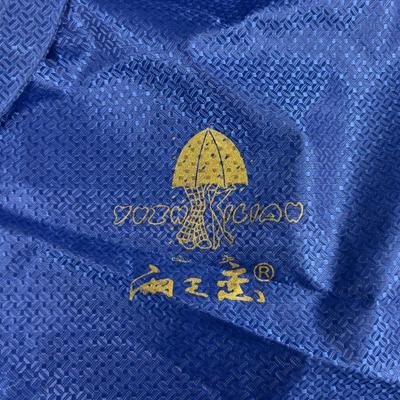Poncho Blue 