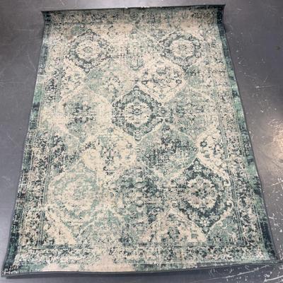 Rug Printed Pattern IKEA Color Turquoise is Muted