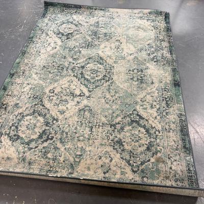Rug Printed Pattern IKEA Color Turquoise is Muted