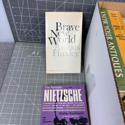 Novel 1970's Paper Back Novels 