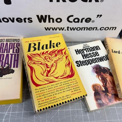 Novel 1970's Paper Back Novels 