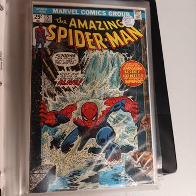SPIDERMAN COMIC BOOKS 1970 - ?