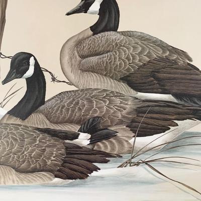 Waterfowl Geese Print Signed/Numbered Art Lamay - Maryland Artist