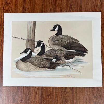 Waterfowl Geese Print Signed/Numbered Art Lamay - Maryland Artist