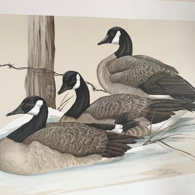 Waterfowl Geese Print Signed/Numbered Art Lamay - Maryland Artist