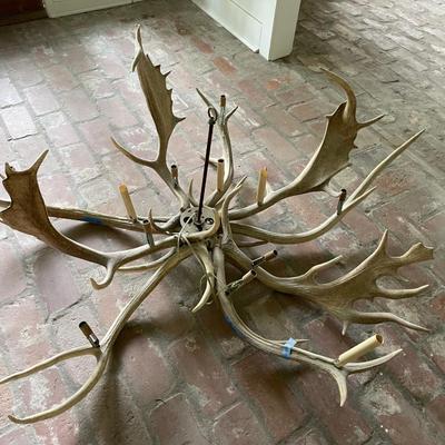 Large Elk Antler Chandelier with Natural Finish. (See Description)