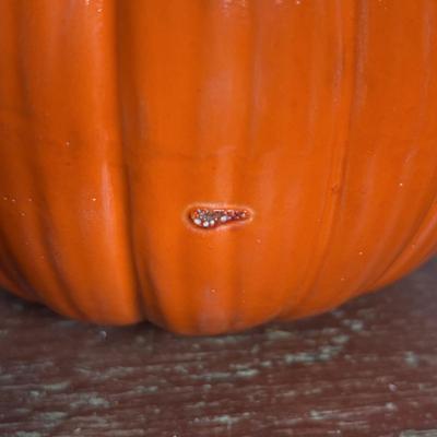 LOT 291: Fall Decor: Ceramic Pumpkins, Squirrel Salt/Pepper Shakers, Floral Center Piece and More