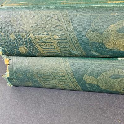 LOT 333: Works of Charles Dickes Two Volumes