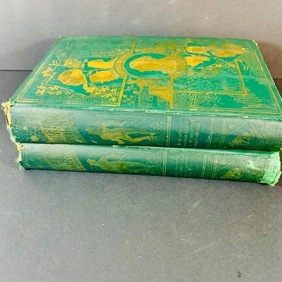 LOT 333: Works of Charles Dickes Two Volumes