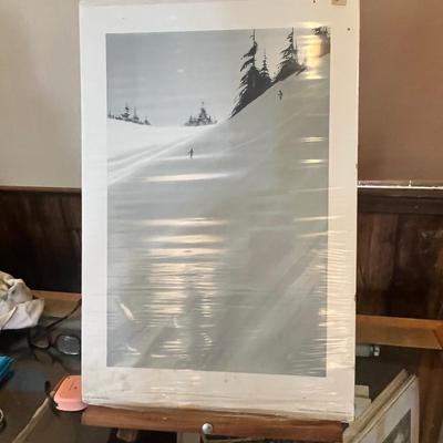 Lot 125 Ski print