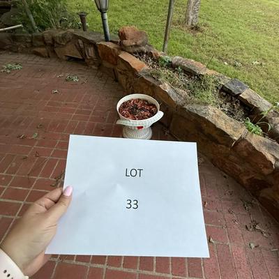 Yard/Lawn items
