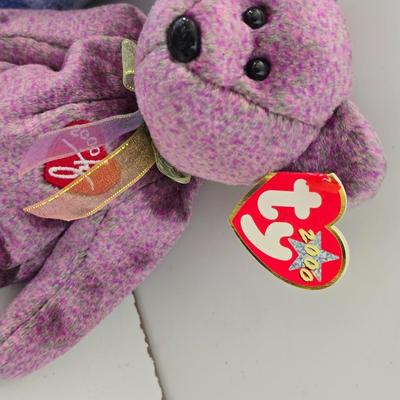 Lot of 6 TY Beanie Babies – Bears with Tags (Retired)