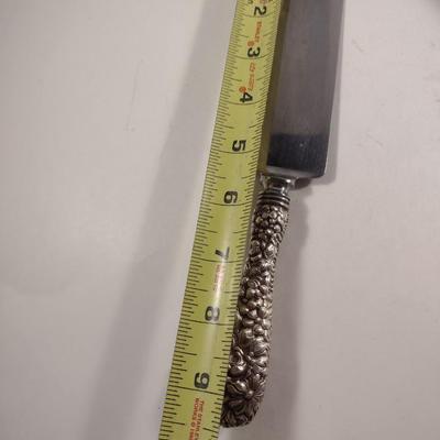 The Stieff Co. Cake/Pastry Server with Sterling Handle