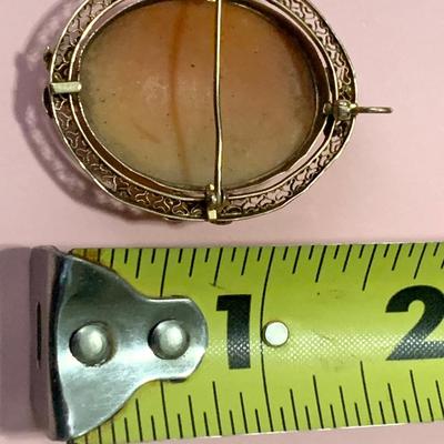 10k Gold Cameo Brooch or Pendant