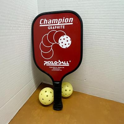 Pickleball Paddle Set – Premium Paddle, 2 Balls