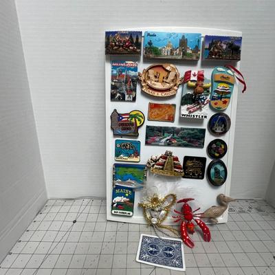 Travel Souvenir Magnet Board Collection Display