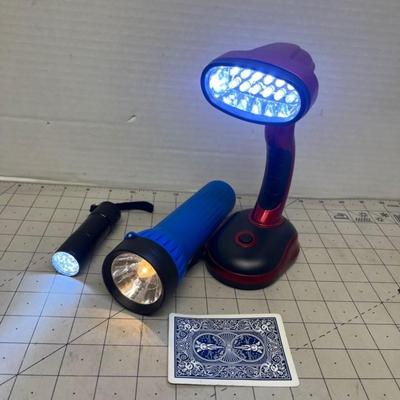 Assorted LED Flashlights and Lamp Set
