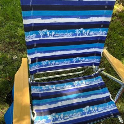 2 Folding Outdoor Chairs - 1 w Carry Bag