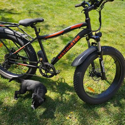 AOSTIRMOTOR -26" 750W Electric Mountain Bike S07
