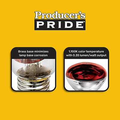 Producer's Pride 250W Red Heat Bulbs 120V – 2-Pack Infrared Light Bulbs for Brooders & Reptiles