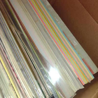 Collection of Scrap Booking Paper and Supplies (#1) (G)