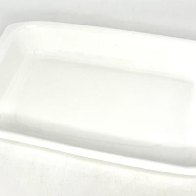 Corning Ware Blue Cornflower Set - Roaster and 10" Lidded Casserole Dish