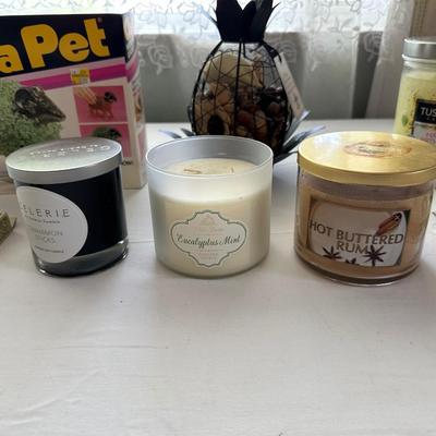 VARIETY OF CANDLES AND A CHIA PET