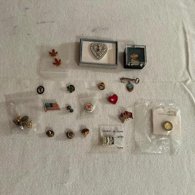 A VARIETY OF PINS AND BUTTONS